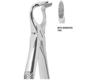 Extracting Forceps English pattern